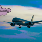 delta flight dl275 diverted lax
