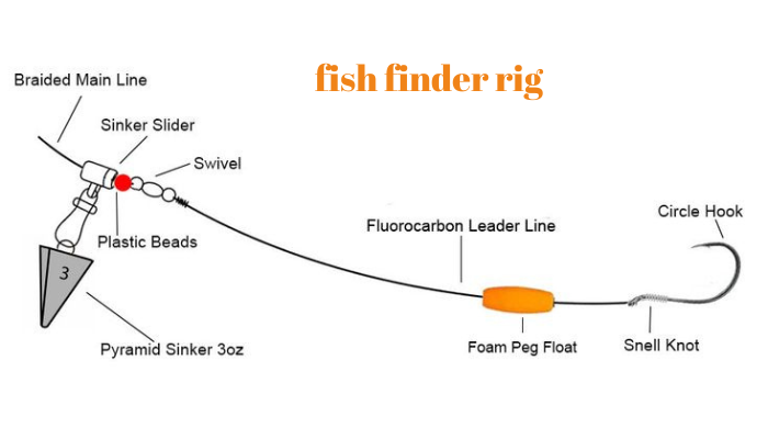 fish finder rig